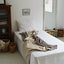 【予約】Grandma Blanket