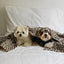 【予約】Grandma Blanket