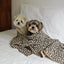 【予約】Grandma Blanket