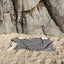【予約】Grandma Blanket