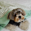 【予約】Grandma Blanket