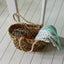 【予約】Grandma Blanket