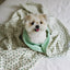 【予約】Grandma Blanket