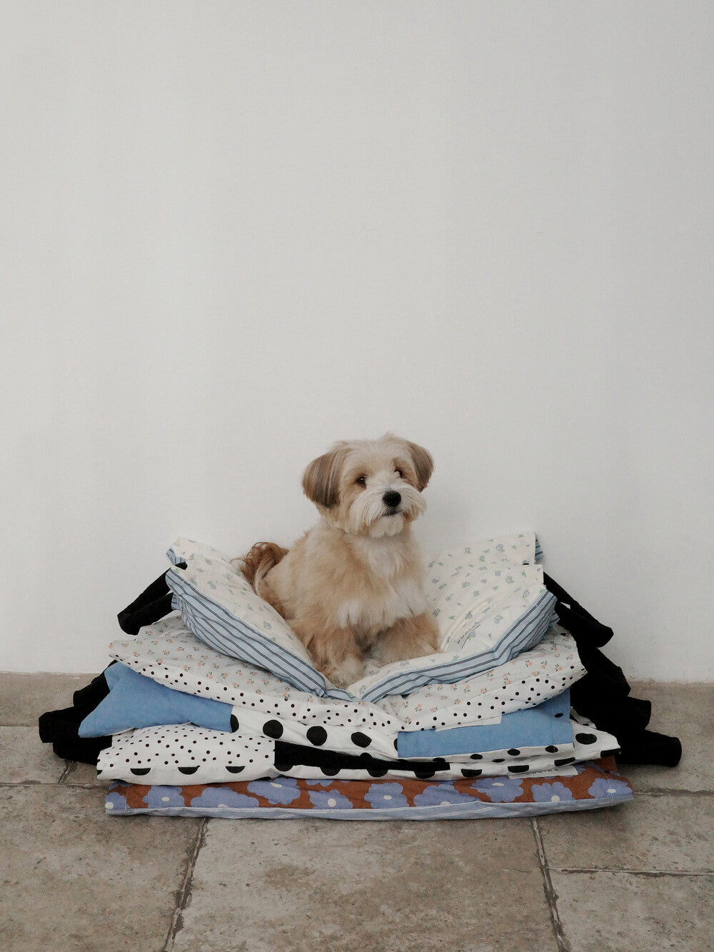【予約】Homey Warmy Topper（※Pillow別売り）