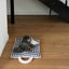 【予約】Mini Square Pillow