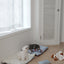 【予約】Homey Warmy Topper（※Pillow別売り）