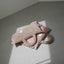 【予約】Homey Warmy Topper（※Pillow別売り）