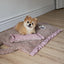 【予約】Homey Warmy Topper（※Pillow別売り）