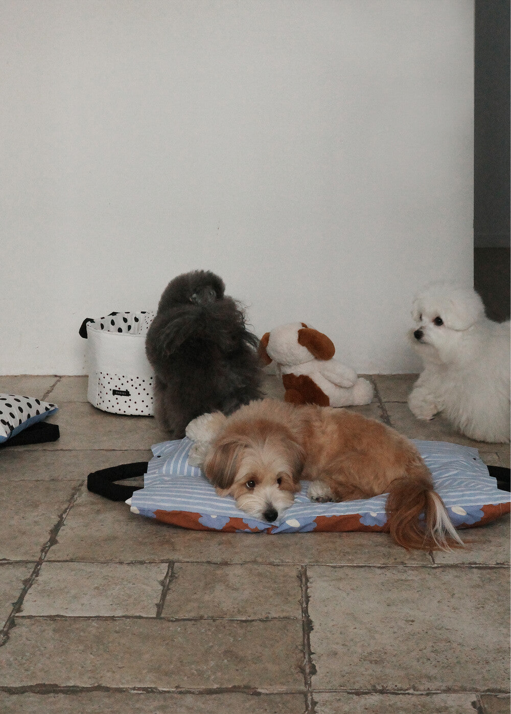 【予約】Homey Warmy Topper（※Pillow別売り）