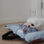 【予約】Layer Pillow（単品購入不可）