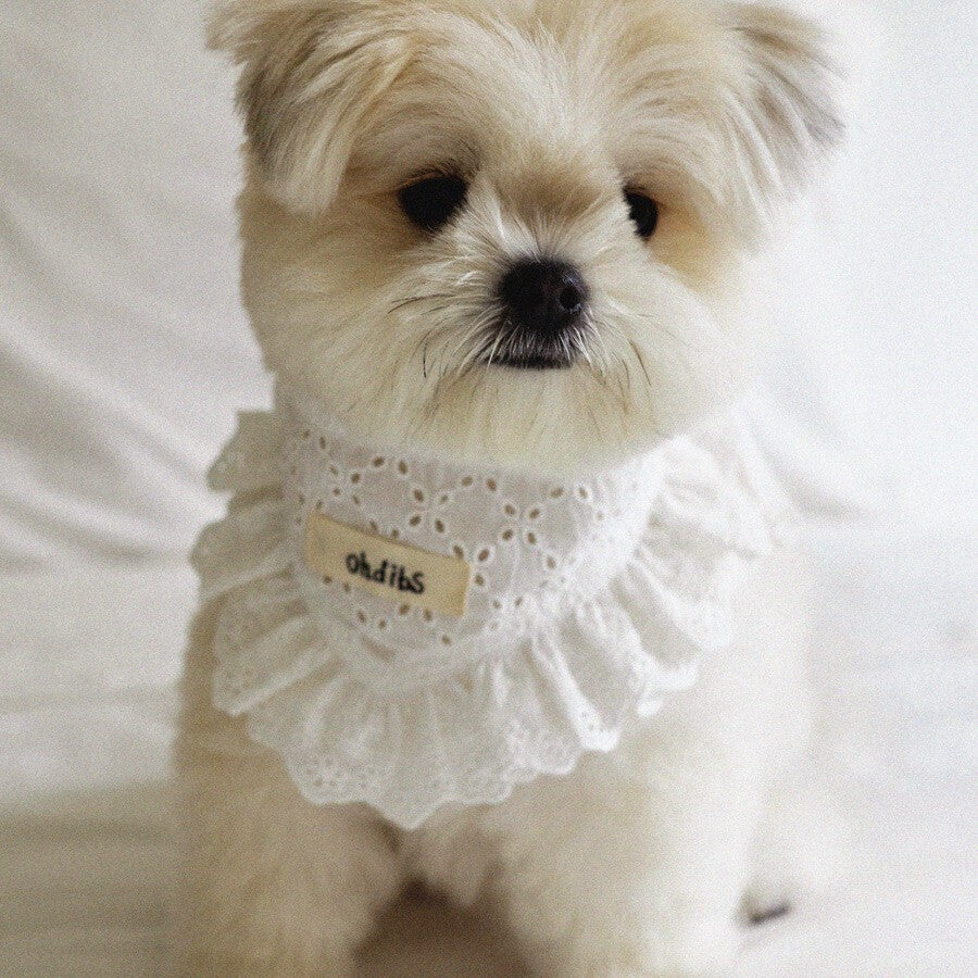 【予約】Manon Kerchief