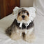 【予約】Manon Kerchief