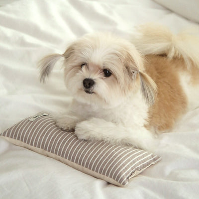 【予約】Mini Square Pillow