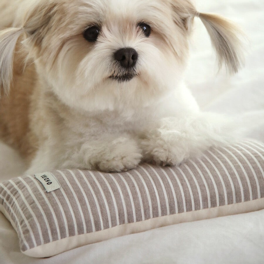 【予約】Mini Square Pillow