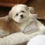 【予約】Mini Square Pillow