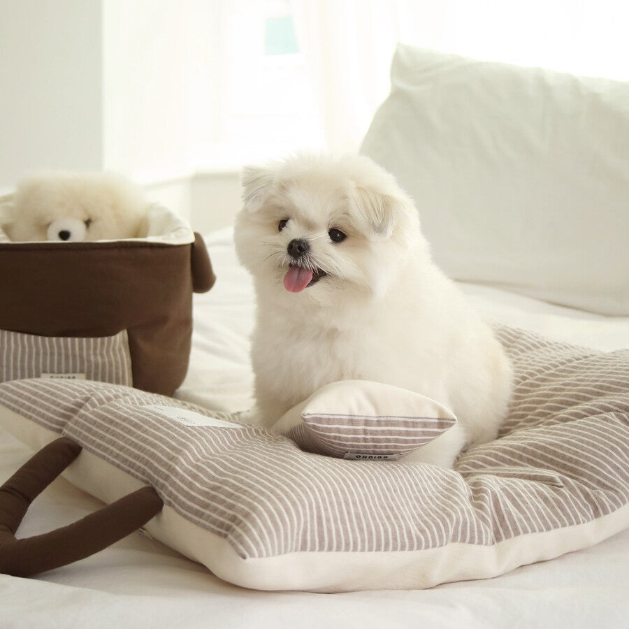 【予約】Mini Square Pillow