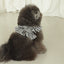 【予約】capeness no.10