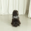 【予約】capeness no.10