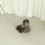 【予約】capeness no.10 leash