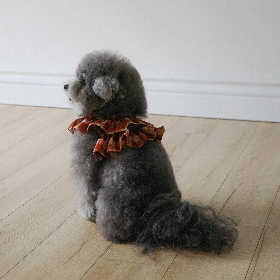 【予約】capeness no.11 leash _ Brick Red（10/13 23:59で予約締切）