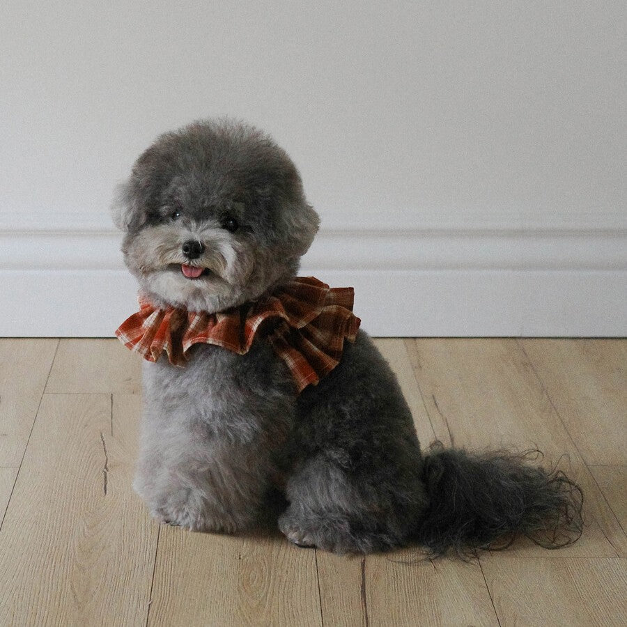 OHDIBS｜韓国発のおしゃれな犬服・キャリーバッグ・スリング通販【PAW