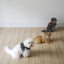 【予約】capeness no.11 leash _ Brick Red（10/13 23:59で予約締切）