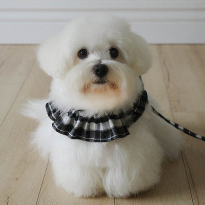 【即納】capeness no.12 _ Black check