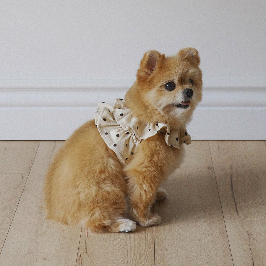 OHDIBS｜韓国発のおしゃれな犬服・キャリーバッグ・スリング通販【PAW