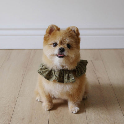 【即納】capeness no.14 leash _ Olive Khaki