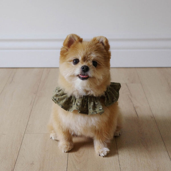 【即納】capeness no.14 leash _ Olive Khaki