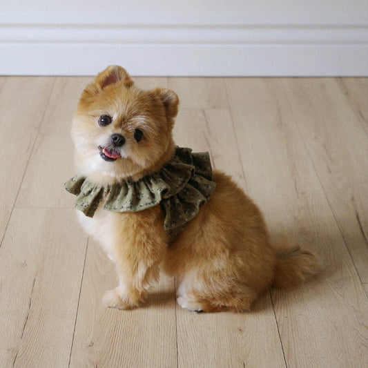 【予約】capeness no.14 _ Olive Khaki（10/13 23:59で予約締切）