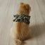 【予約】capeness no.14 leash _ Olive Khaki（10/13 23:59で予約締切）
