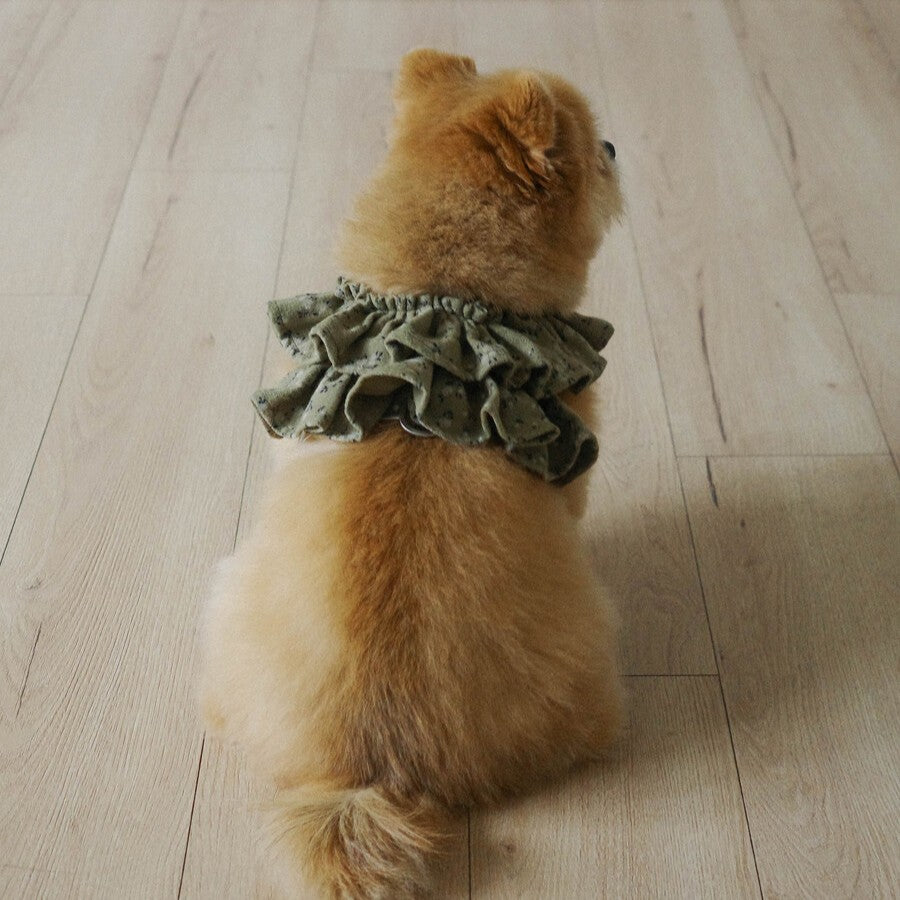 【予約】capeness no.14 leash _ Olive Khaki（10/13 23:59で予約締切）