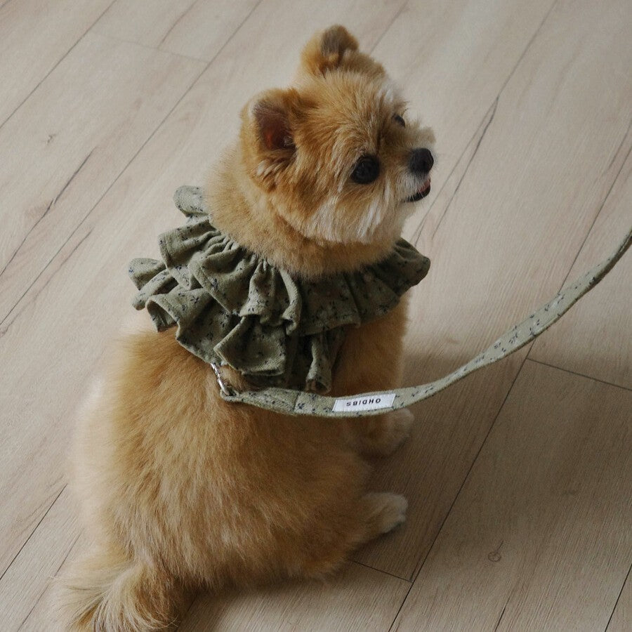 【予約】capeness no.14 leash _ Olive Khaki（10/13 23:59で予約締切）