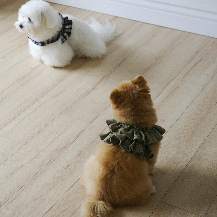 【予約】capeness no.14 leash _ Olive Khaki（10/13 23:59で予約締切）