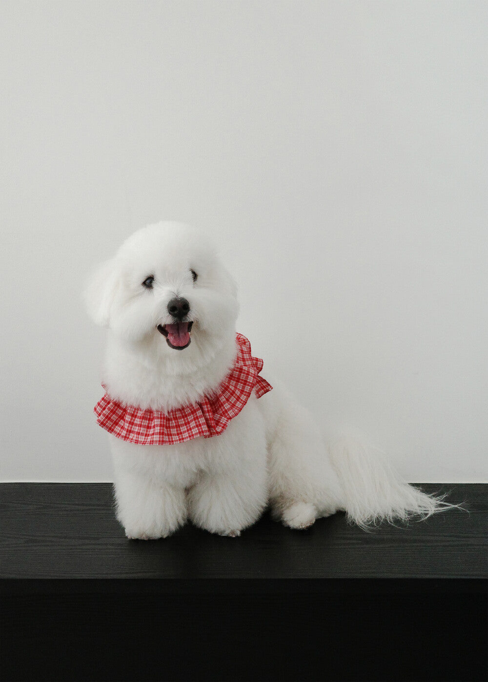 OHDIBS】capeness no.15ケープハーネス (Red check) | 韓国 犬用