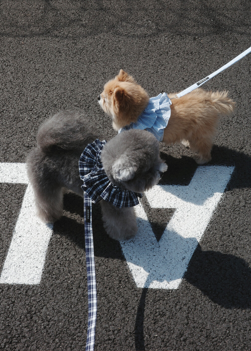 OHDIBS】capeness no.16ケープハーネス (Navy check) | 韓国 犬用