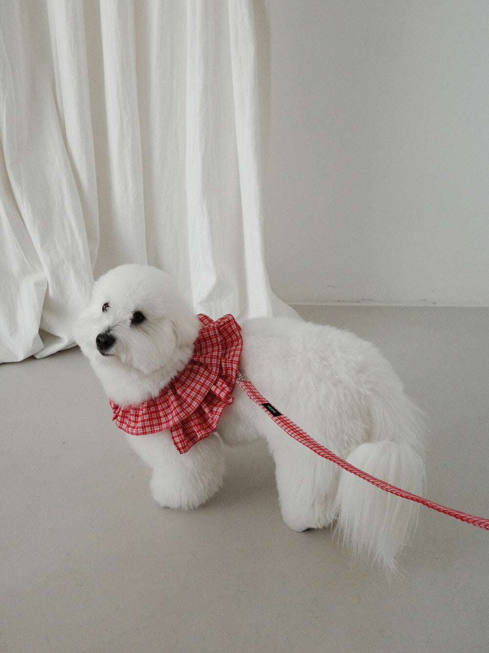 OHDIBS】capeness no.15リード (Red check) | 韓国 犬用リード - PAW