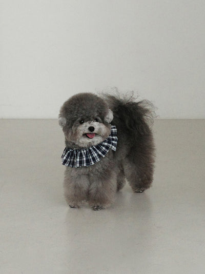 【予約】capeness no.16 _ Navy check