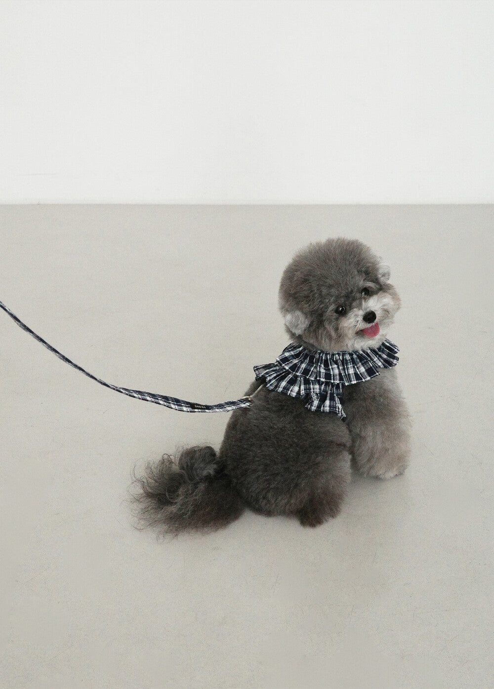 OHDIBS】capeness no.16ケープハーネス (Navy check) | 韓国 犬用