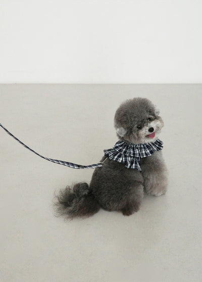 【予約】capeness no.16 _ Navy check