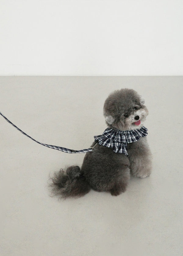 【予約】capeness no.16 leash _ Navy check
