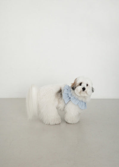 【予約】capeness no.17 _ Babyblue check