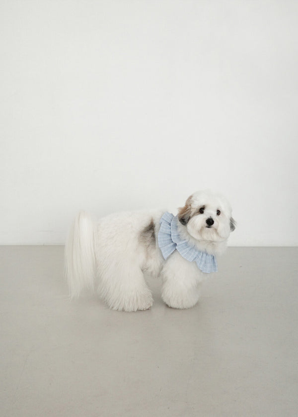 【一部即納】capeness no.17 _ Babyblue check