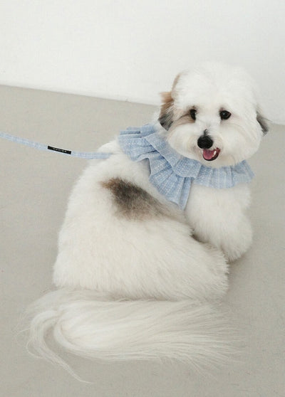 【予約】capeness no.17 _ Babyblue check