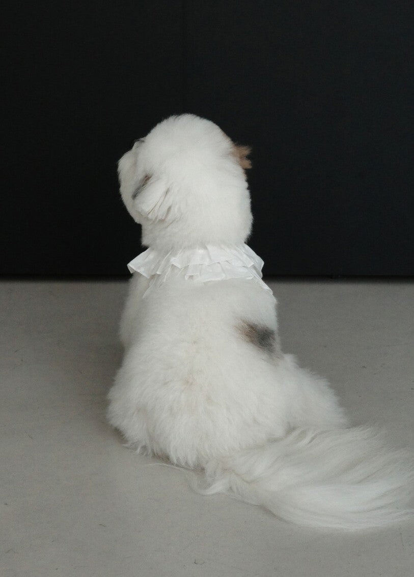 OHDIBS】capeness no.18ケープハーネス (White) | 韓国 犬用ハーネス