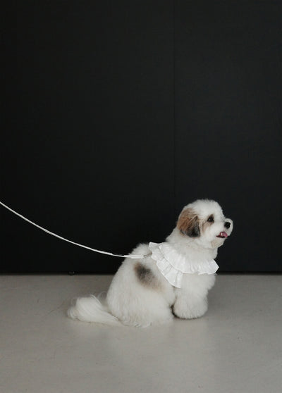 【予約】capeness no.18 leash _ White