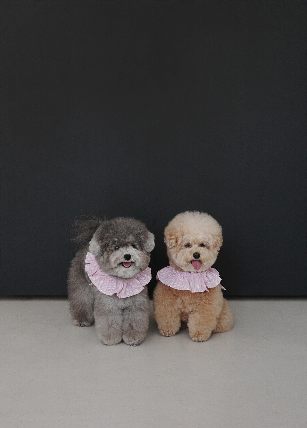 OHDIBS】CAPENESS NO.19 ケープハーネス (PINK STRIPE) | 韓国 犬用