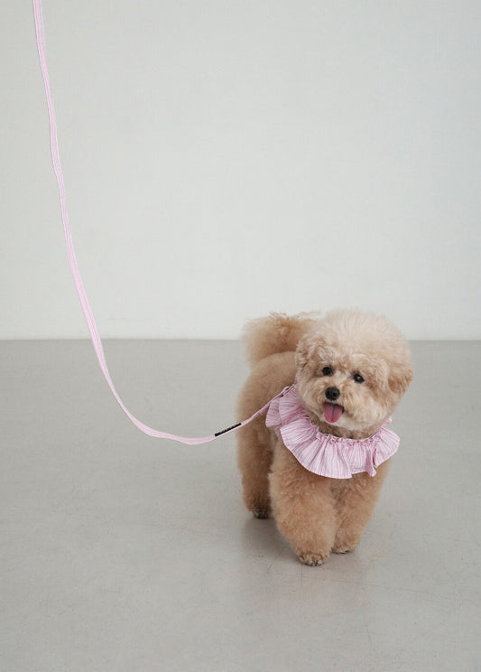 【予約】CAPENESS NO.19 leash _ PINK STRIPE