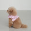 【予約】CAPENESS NO.19 _ PINK STRIPE